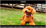 Cuun 様